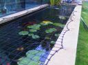 protection-bassin-de-jardin--filet-securite-poissons-ornement-plantes-aquatiques.jpg
