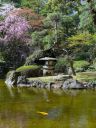 Bassin_japonais09.jpg