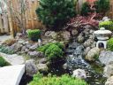 Bassin_japonais10.jpg