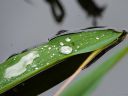 Bassinwy_0612_01.jpg