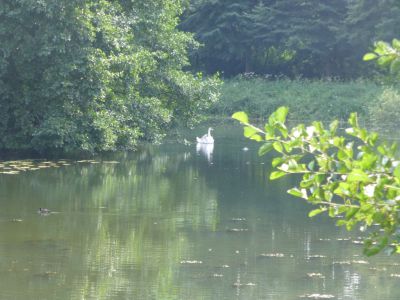 Cliquer pour voir l'image en taille réelle