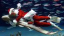 le-pere-noel-nourrit-les-poissons-dans-l-aquarium-des-requins-a-tokyo_148437_w460.jpg