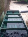 IMG_20200313_172129.jpg