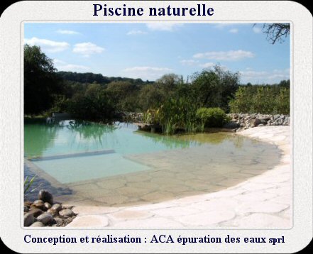 Piscine naturelle 