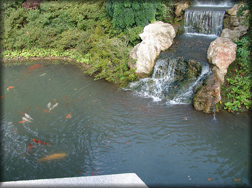 Le jardin chinois de Pairi Daiza