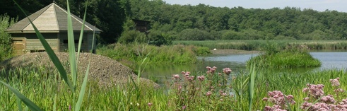 Aquascope de Virelles