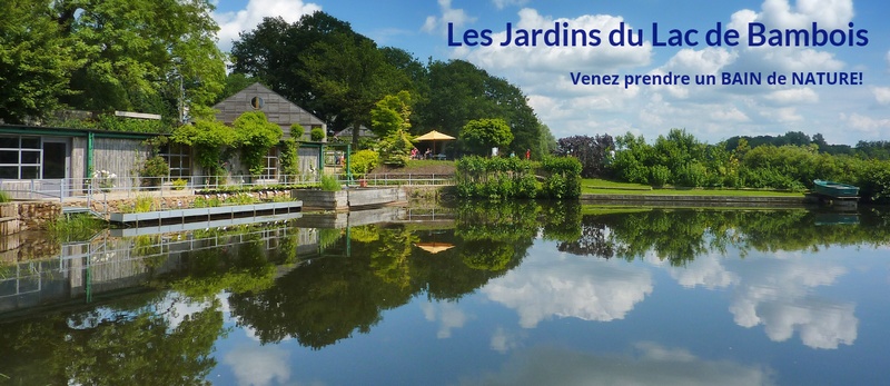 Les jardins du lac de Bambois