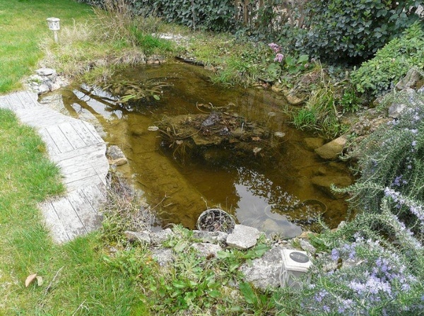 Bassin de jardin Andros