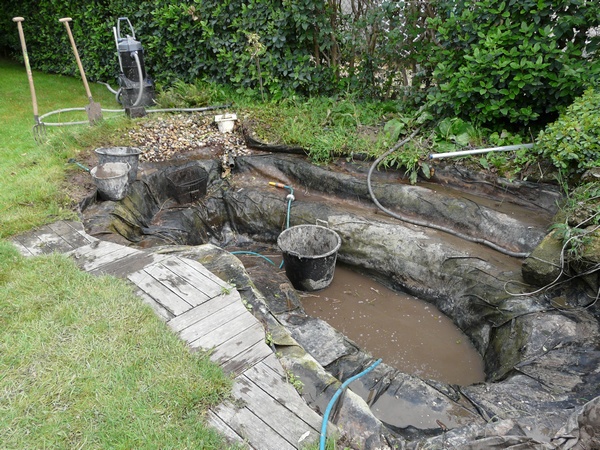 Vidange du bassin de jardin