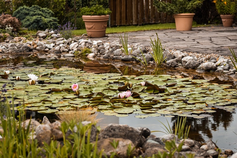 Bâches pour bassin de jardin : PVC, géotextile