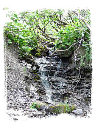 Cascade naturelle dans un sol schisteux