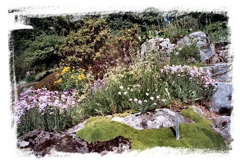 Jardin alpin de Champex
