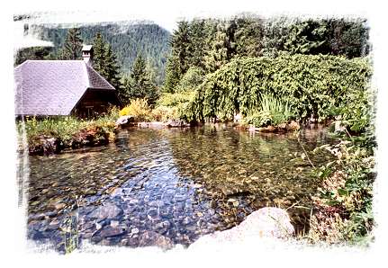 Jardin alpin de Champex