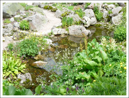 Jardin alpin du Haut Chitelet