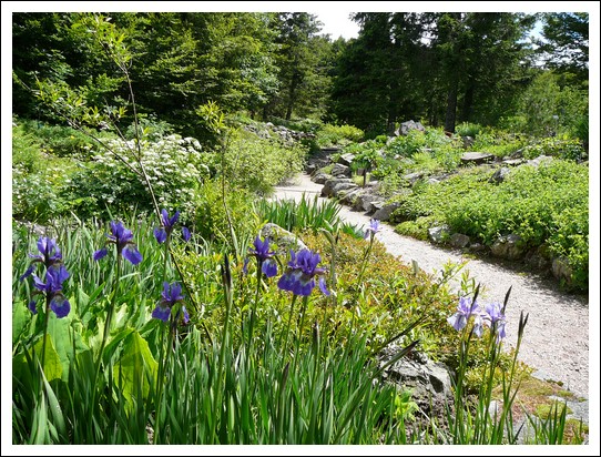 Jardin alpin du Haut Chitelet