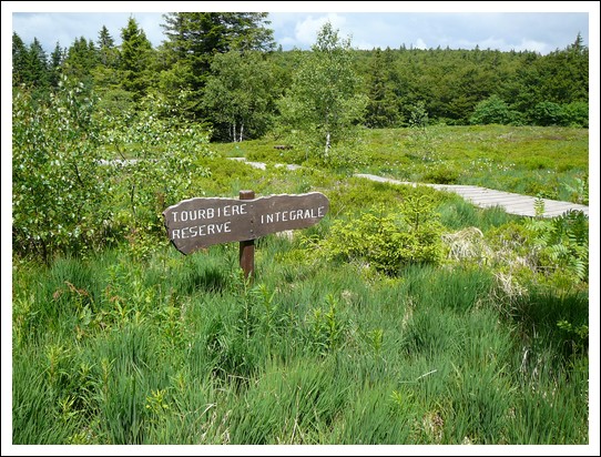 Jardin alpin du Haut Chitelet