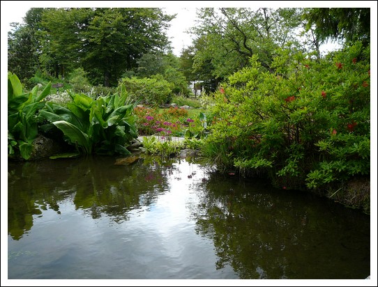 Jardin alpin du Haut Chitelet