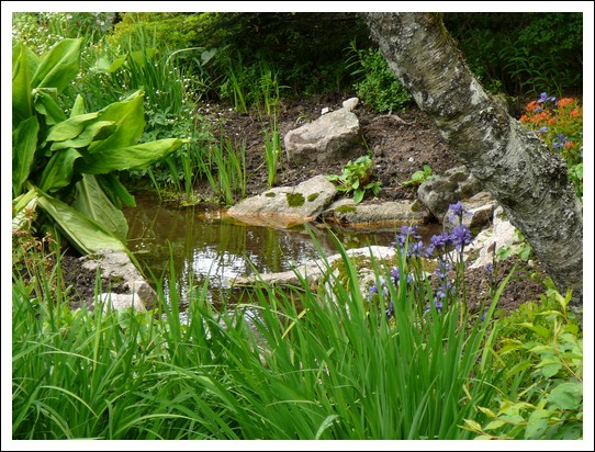 Jardin alpin du Haut Chitelet