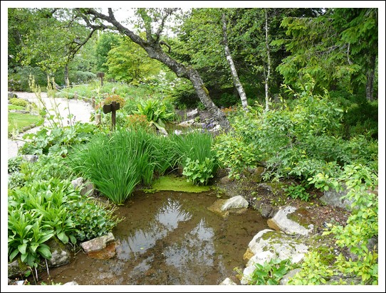 Jardin alpin du Haut Chitelet