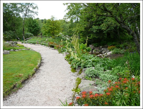 Jardin alpin du Haut Chitelet