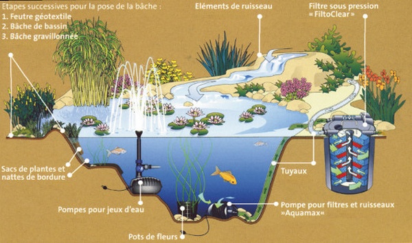 Construire un Bassin Extérieur - Comment Creuser un Jardin d'eau
