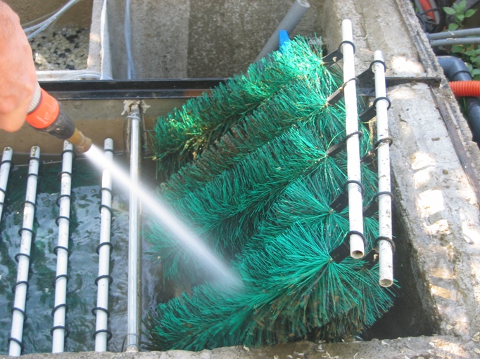 L'entretien du bassin de jardin