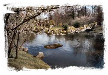 Jardin japonais d'Hasselt