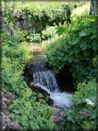 Le jardin botanique alpin La Jasinia  Samons (Haute-Savoie)