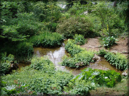 Le jardin botanique alpin La Jasinia  Samons (Haute-Savoie)