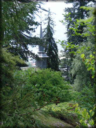 Le jardin botanique alpin La Jaÿsinia à Samoëns (Haute-Savoie)