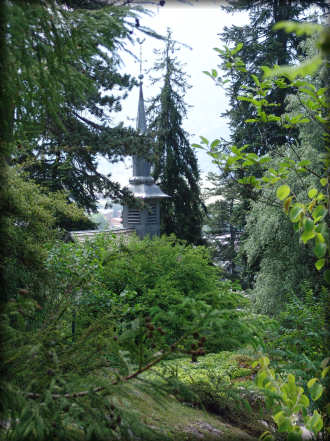 Le jardin botanique alpin La Jasinia  Samons (Haute-Savoie)