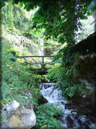 Le jardin botanique alpin La Jasinia  Samons (Haute-Savoie)