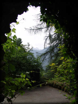 Le jardin botanique alpin La Jasinia  Samons (Haute-Savoie)