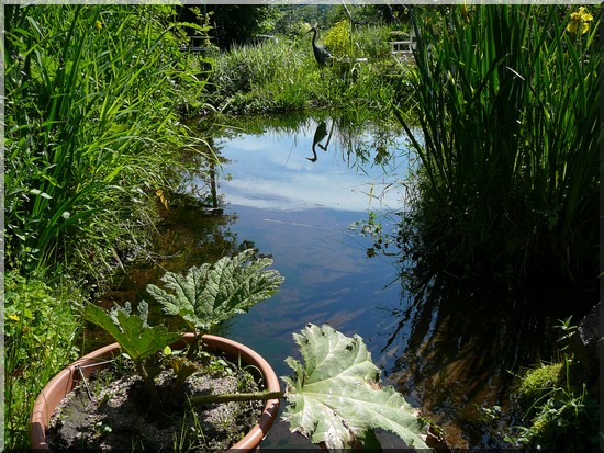 Jardin et Objets des Panres dans les Vosges