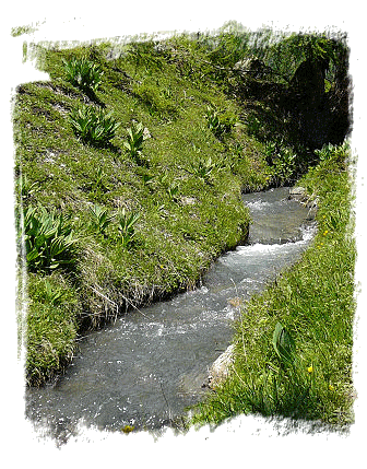 Ruisseau de montagne