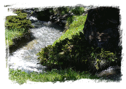 Ruisseau de montagne